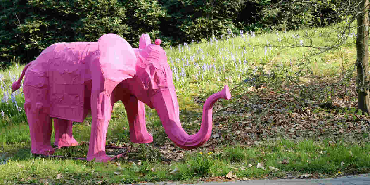 Burgers’ Zoo Sonntag besuchen und der Giro zusehen!
