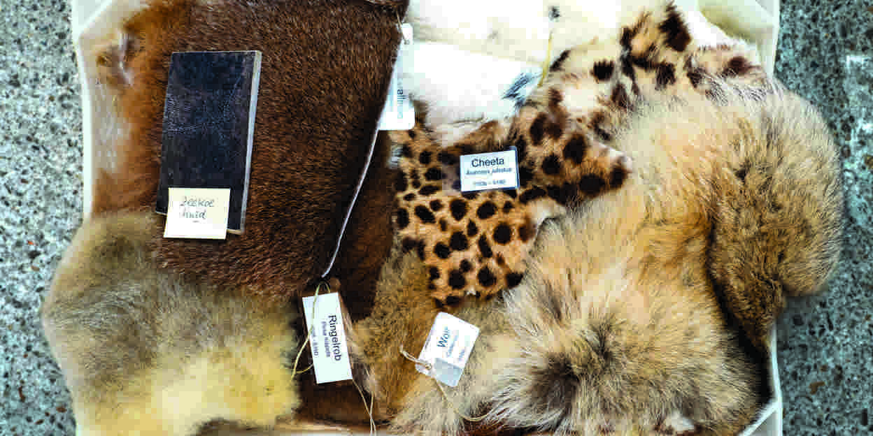   Der Tod und der Tierpark