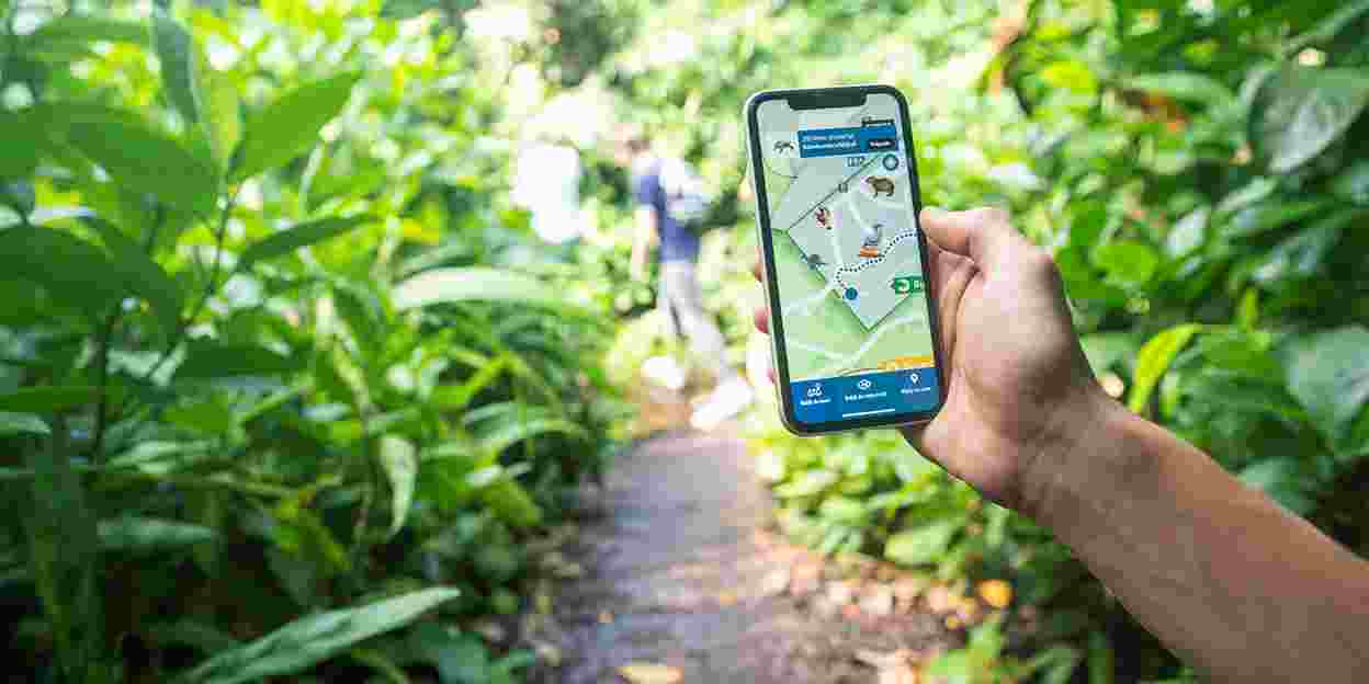 Augmented Reality führt Besucher durch den Dschungel