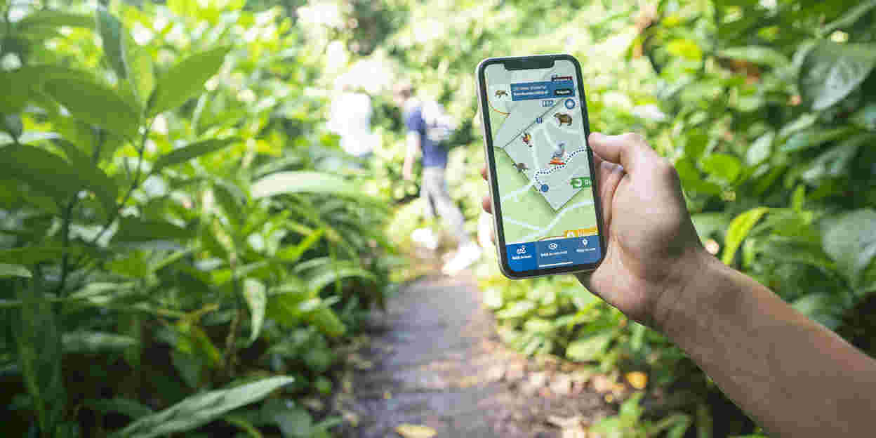 Augmented Reality führt Besucher durch den Dschungel