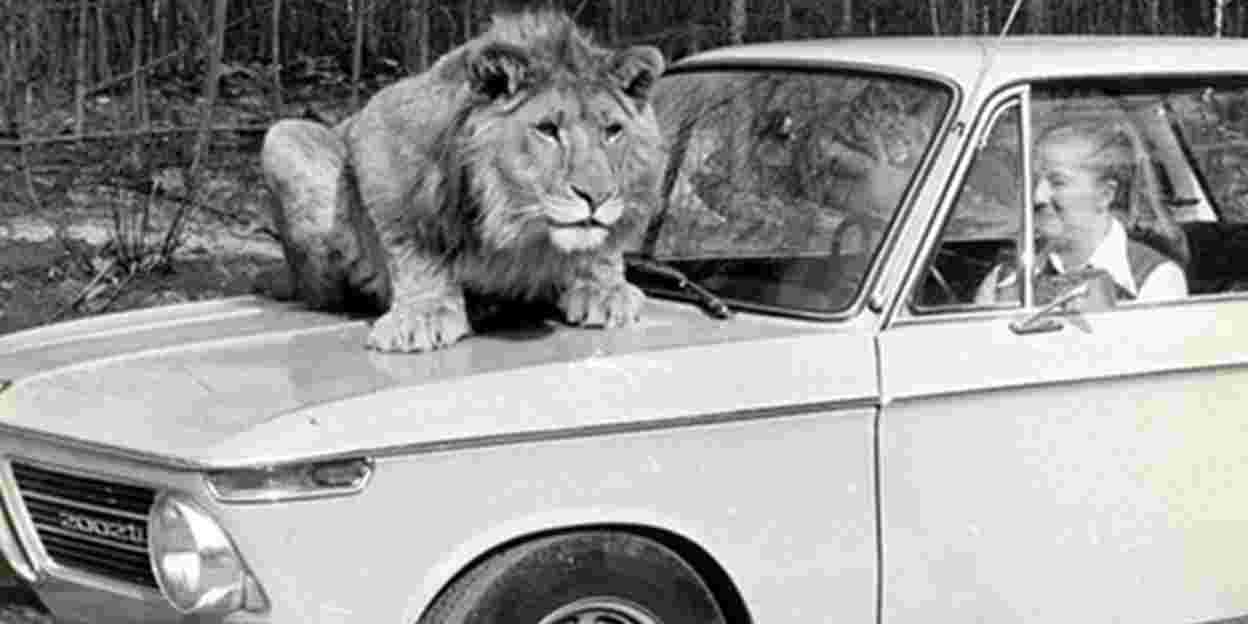 Zoos früher und heute: Die Geschichte von Burgers’ Safari