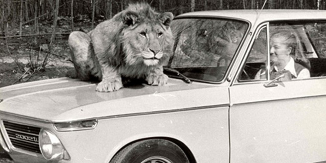 Zoos früher und heute: Die Geschichte von Burgers’ Safari