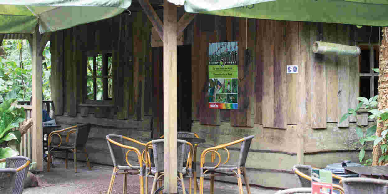 „Silent Forest“-Kampagne – Vögel im Fokus
