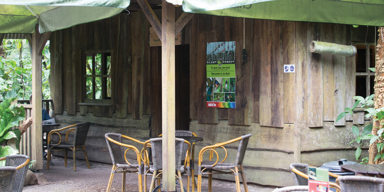 „Silent Forest“-Kampagne – Vögel im Fokus
