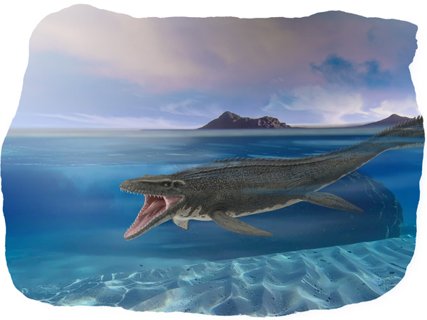 ba1a1909-0225-4fee-b73e-c12aad28d713