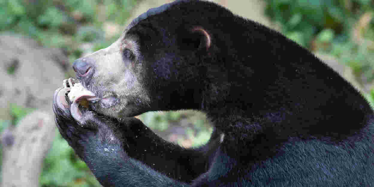 Wann werden die Tiere gefüttert?