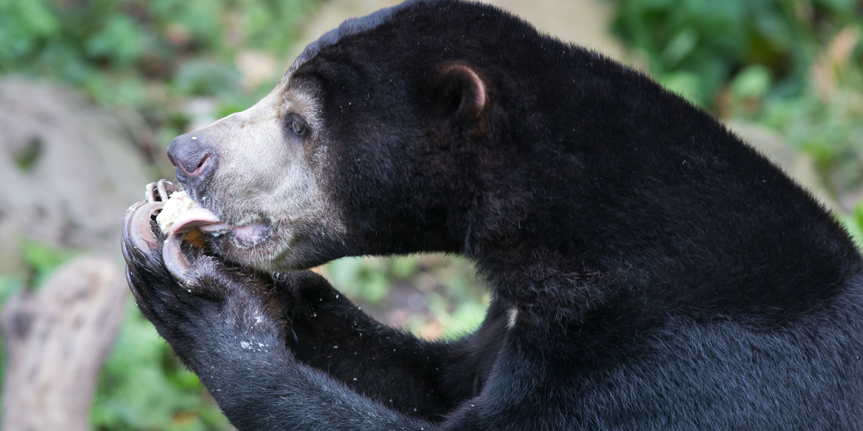 Wann werden die Tiere gefüttert?