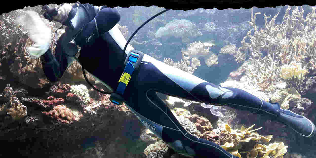 Tauchen im Ocean