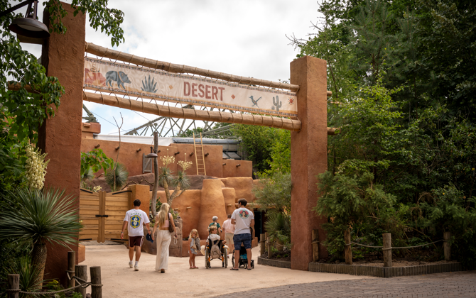 Burgers' Zoo eröffnet Ökodisplay Desert nach umfangreichem Umbau 