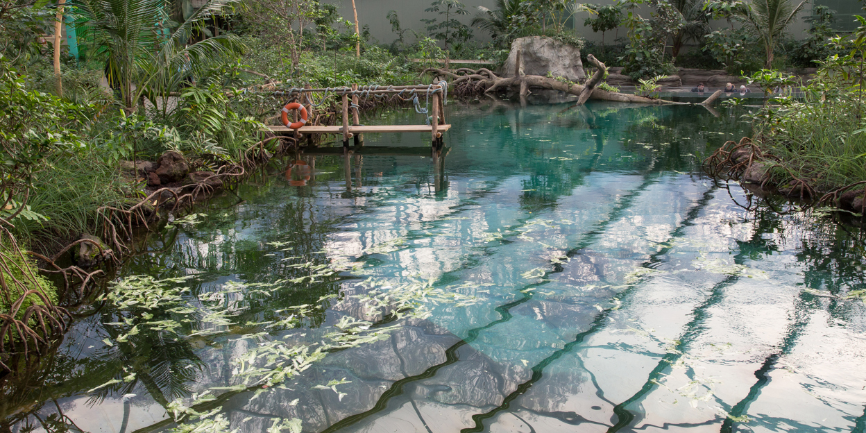 Burgers’ Mangrove: ein Öko-Display entwickelt sich