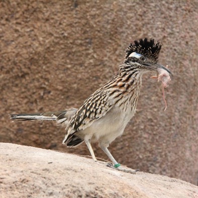 Bedrohung und Schutz