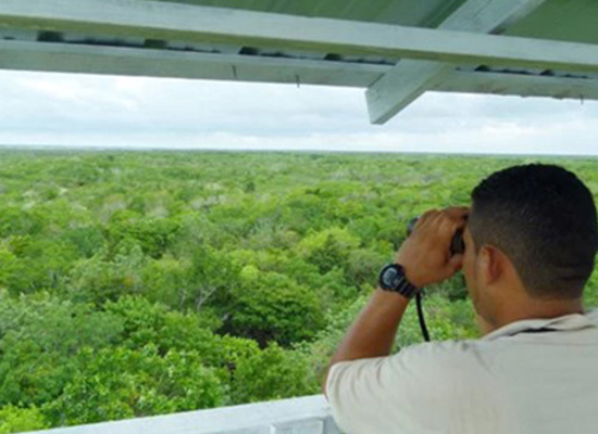 Aktiv im Naturschutz