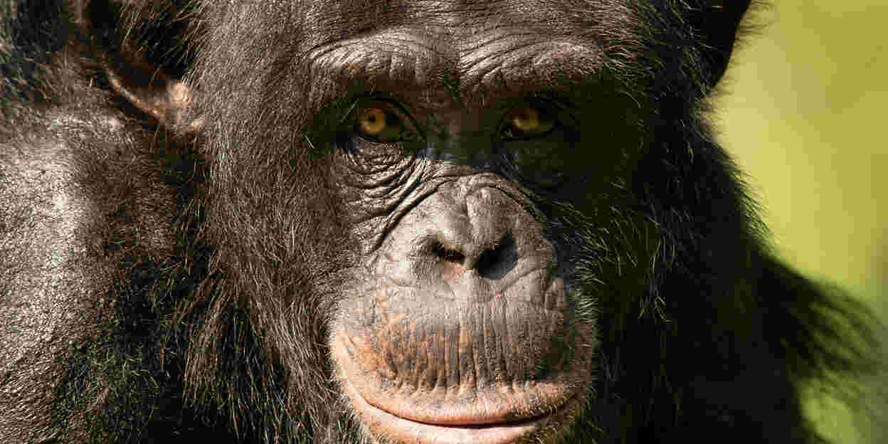 Zoo(m): Der Tierpark gewährt Einblick in seine vielfältigen Aufgaben