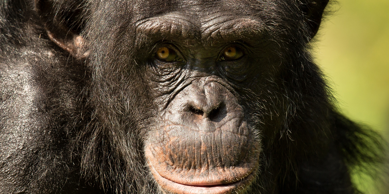 Zoo(m): Der Tierpark gewährt Einblick in seine vielfältigen Aufgaben