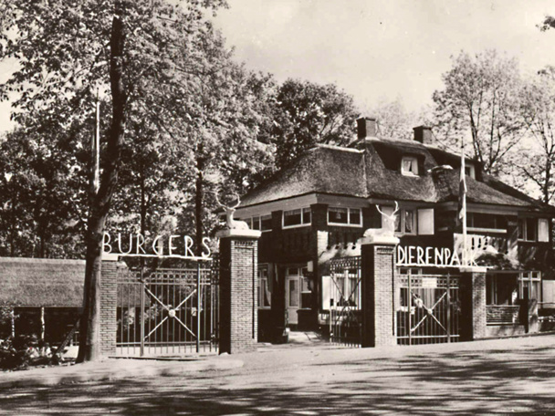 Geschichte