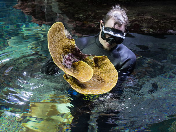 Erfolgreiche Brutstätte