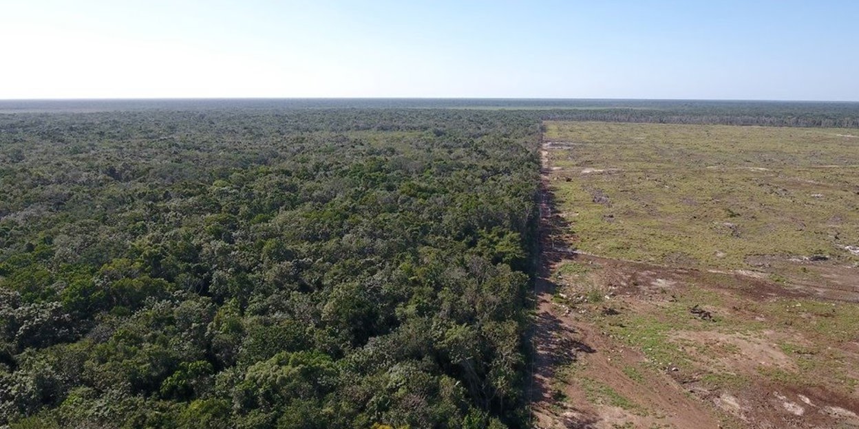 Naturschutz: CSFI Belize