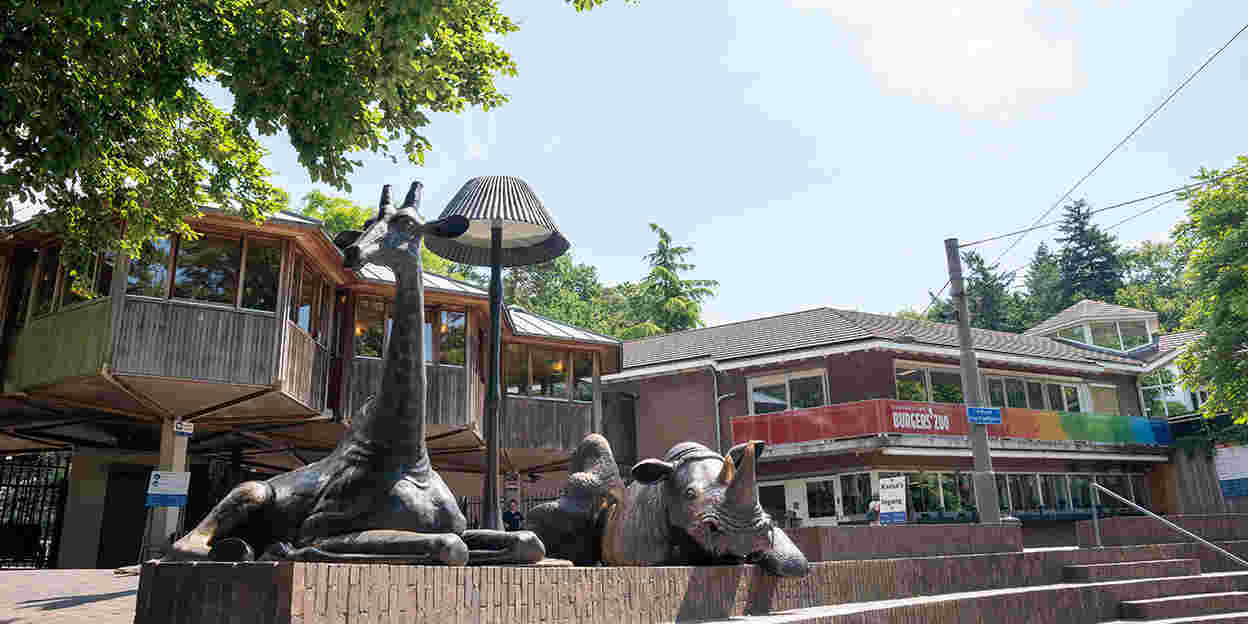 100 Jahre tierischer Spaß: Burgers‘ Zoo feiert besonderen Geburtstag