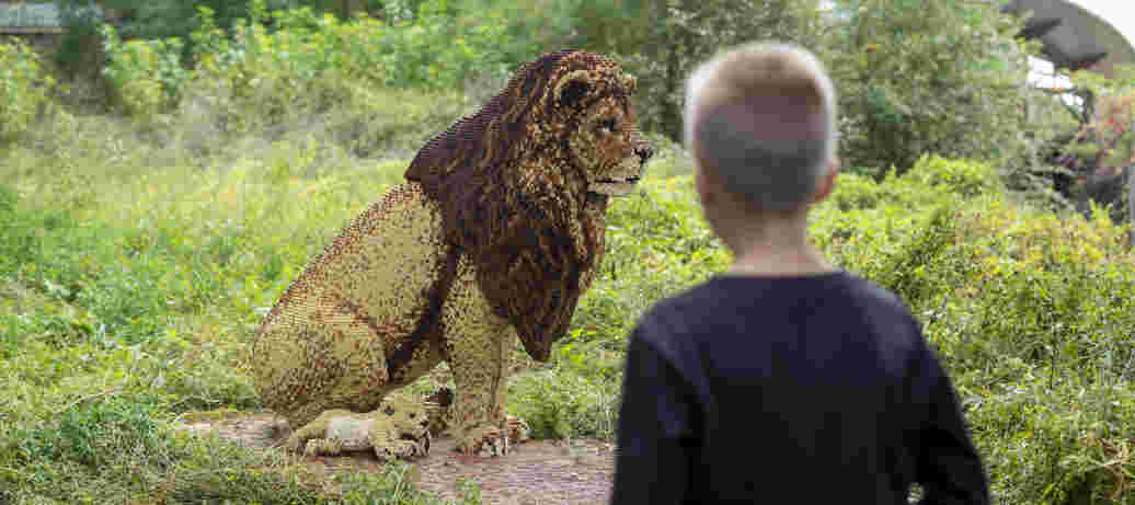 Safari Bricks im Zoo