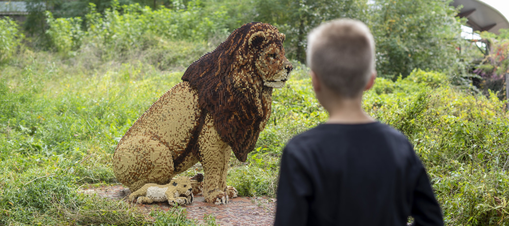 Safari Bricks im Zoo