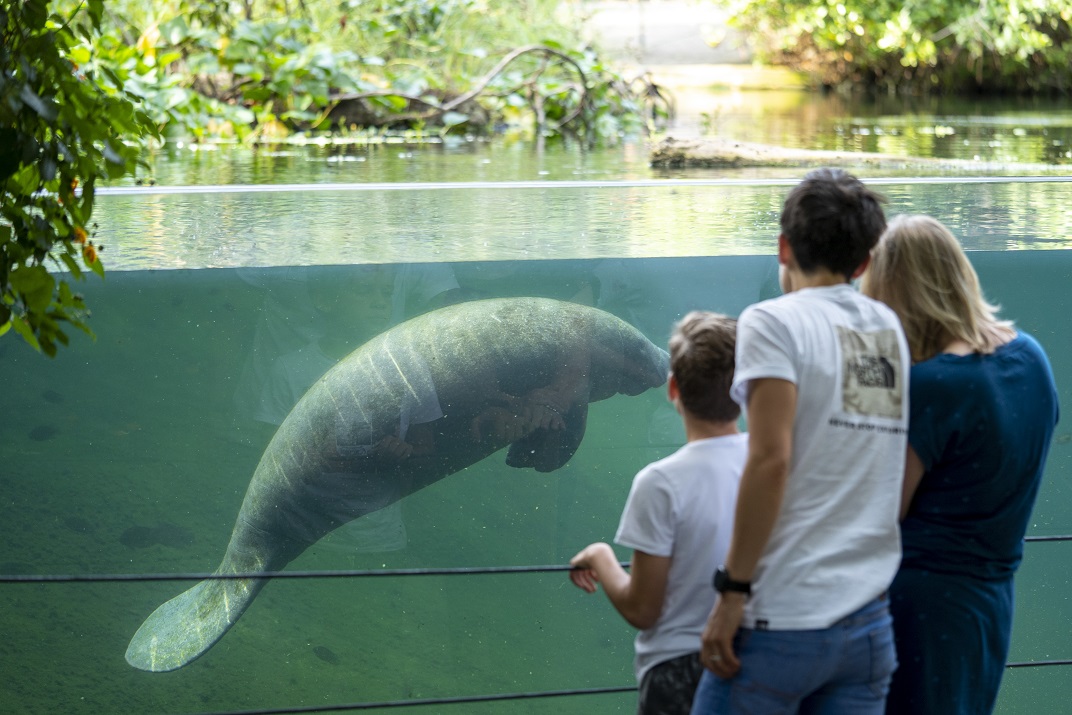 Burgers’ Zoo Arnheim: Der schönste Tierpark - Zoo Holland