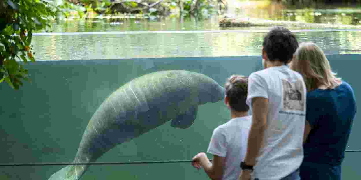  Burgers’ Zoo stolz auf zwei Michelin-sterne
