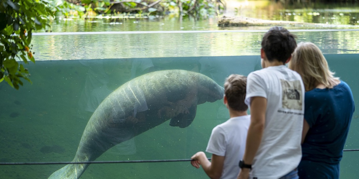  Burgers’ Zoo stolz auf zwei Michelin-sterne