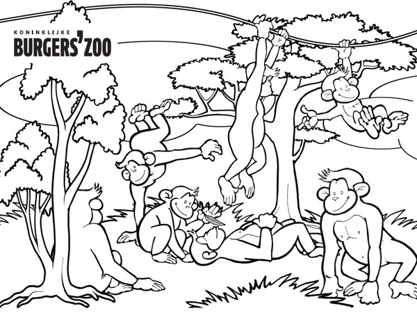 ea5cd7fe-7954-4591-a2e0-45ec8486d68d