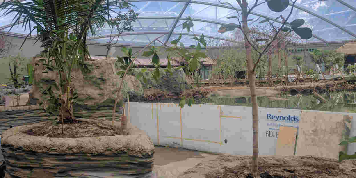 Architekt im Zoo