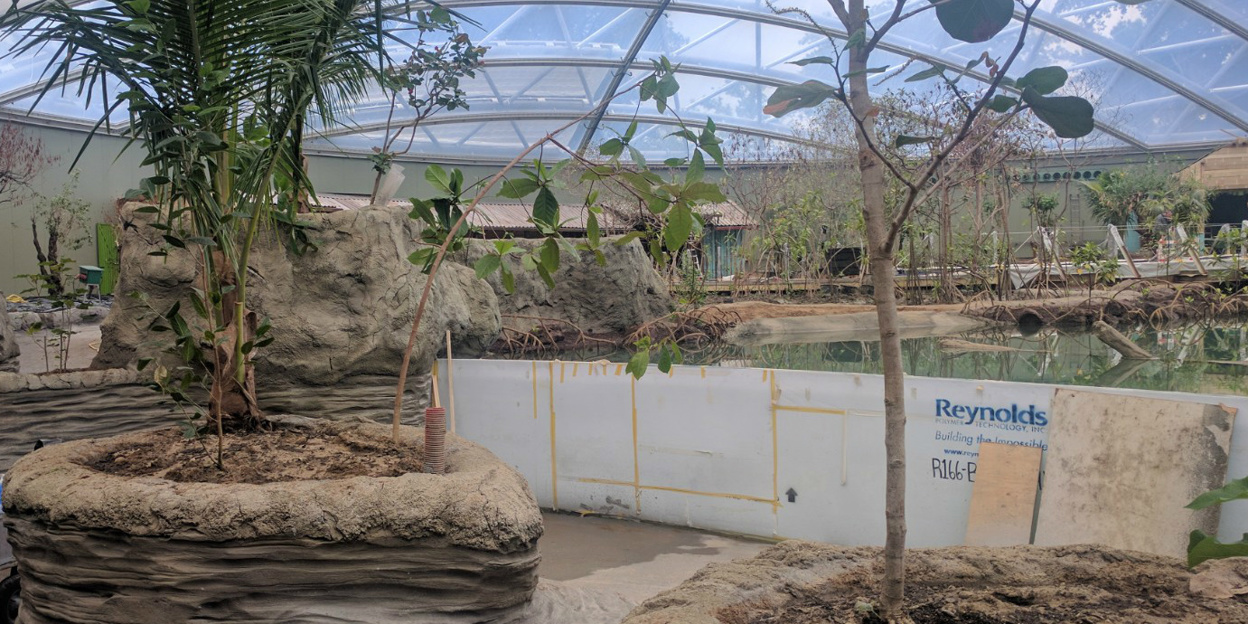 Architekt im Zoo