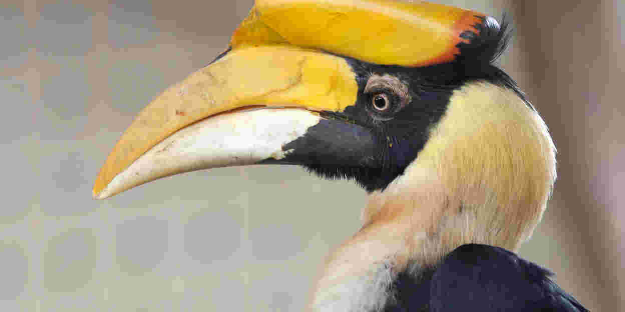 Zoo(m): Der Tierpark gewährt Einblick in seine vielfältigen Aufgaben