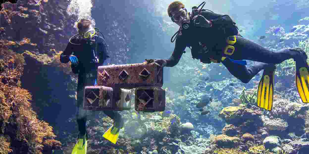 Burgers' Zoo unterstützt die Wiederherstellung von Korallenriffen in der Natur