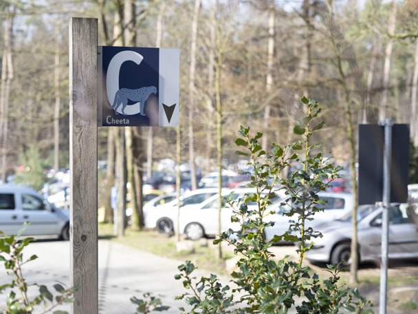 So gelangen Sie am besten zum Zoo 