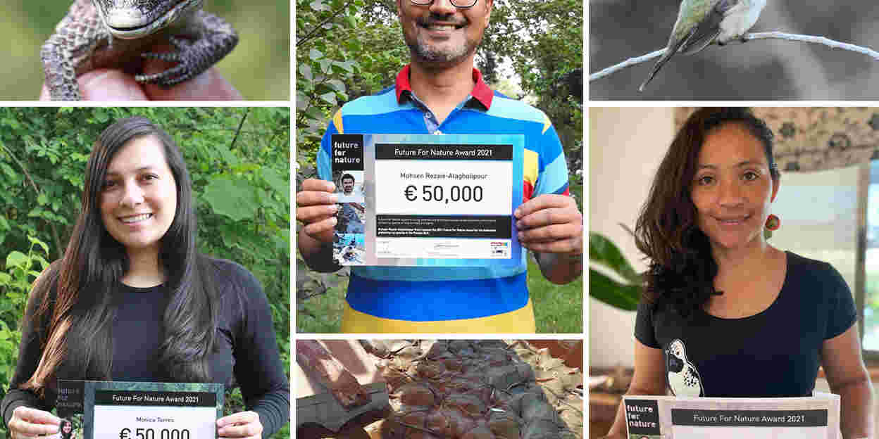 Die Future For Nature Awards