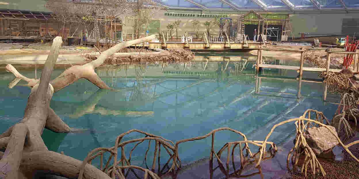 Burgers‘ Zoo eröffnet größte überdachte Mangrove der Welt