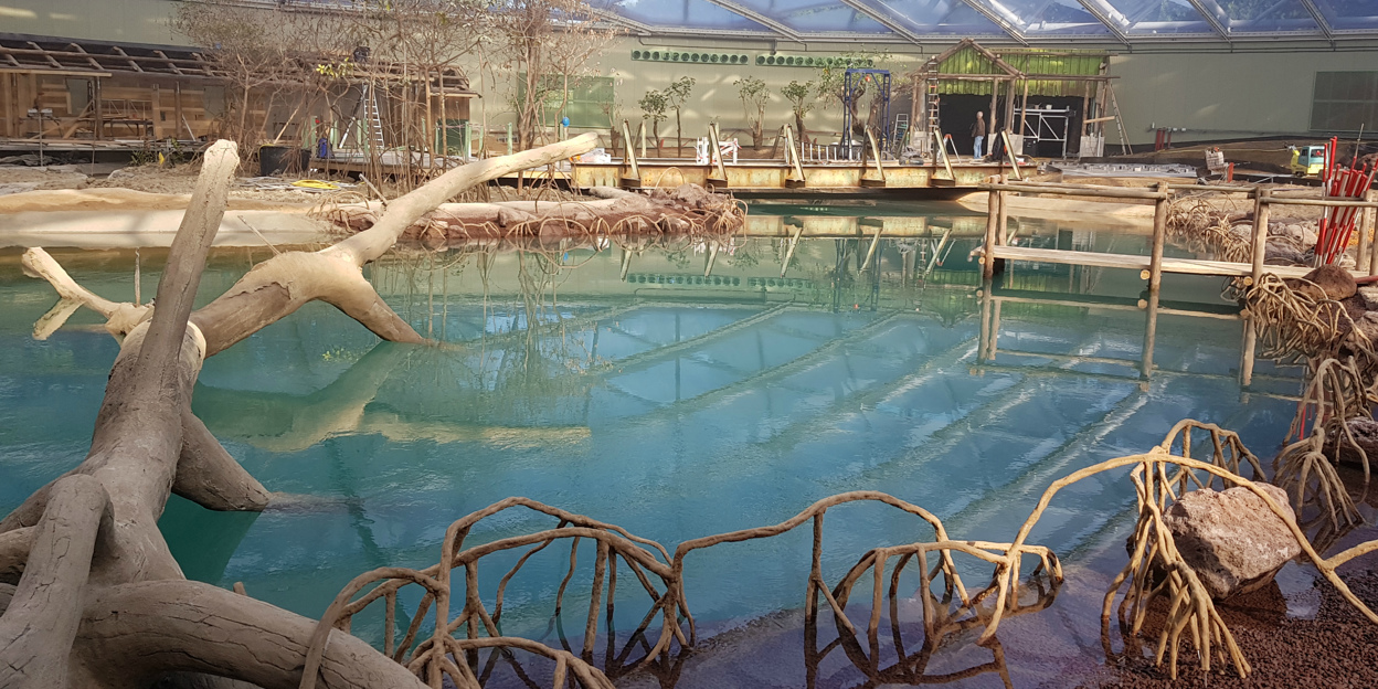 Burgers‘ Zoo eröffnet größte überdachte Mangrove der Welt