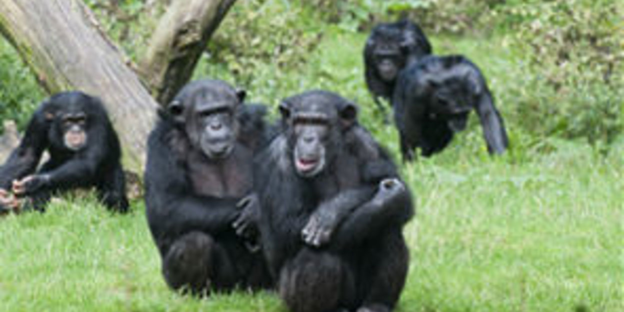 Burgers´ Zoo stolz auf Spitzenwert