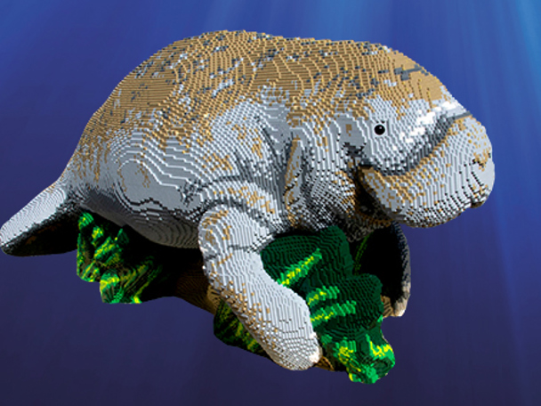 Online-Fotowettbewerb mit drei attraktiven Preisen