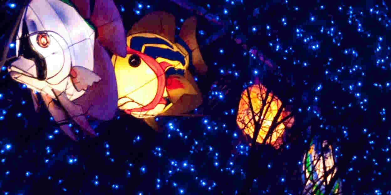 Lichtspektakel in Arnheims Tierpark: Burgers' Light