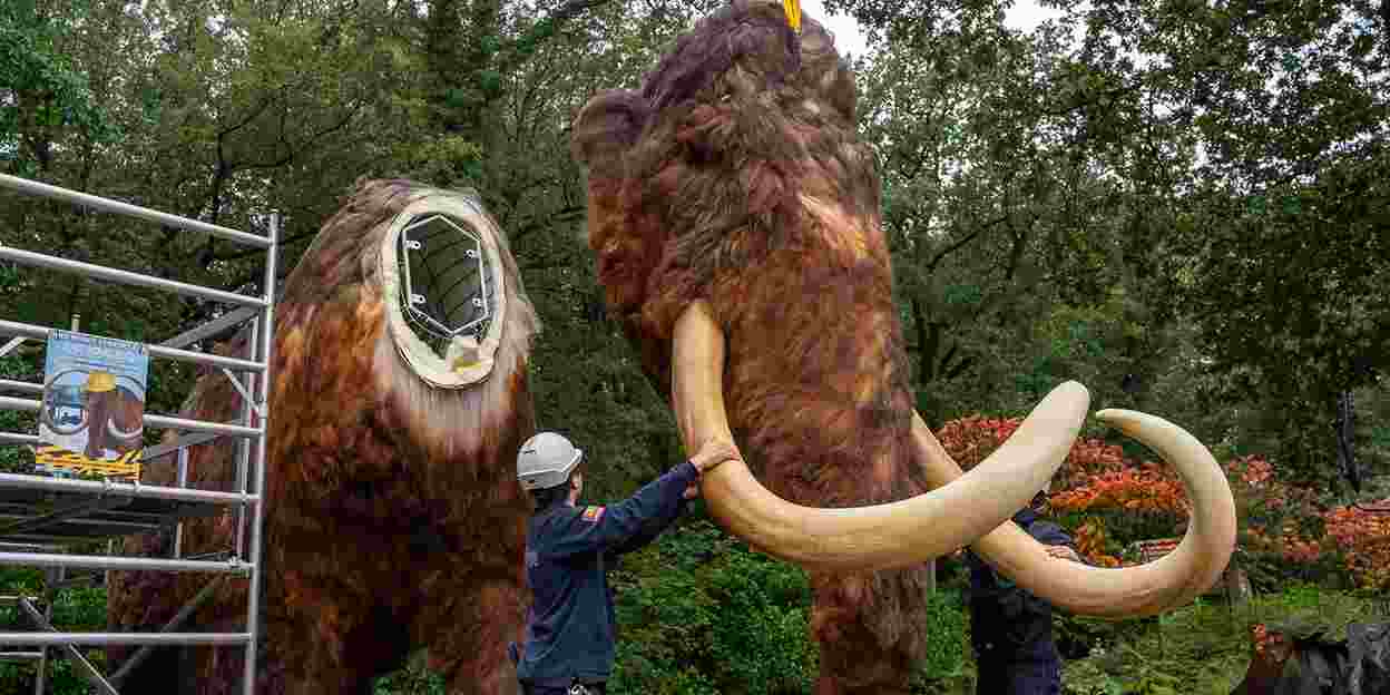 Kran platziert kopf eines riesigen Mammuts 