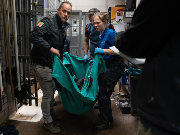 844cf7f3-eb22-403d-bb04-5a53a18736c2