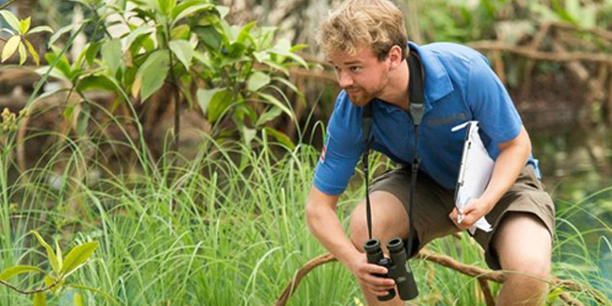 CitizenScienceForscher legen los