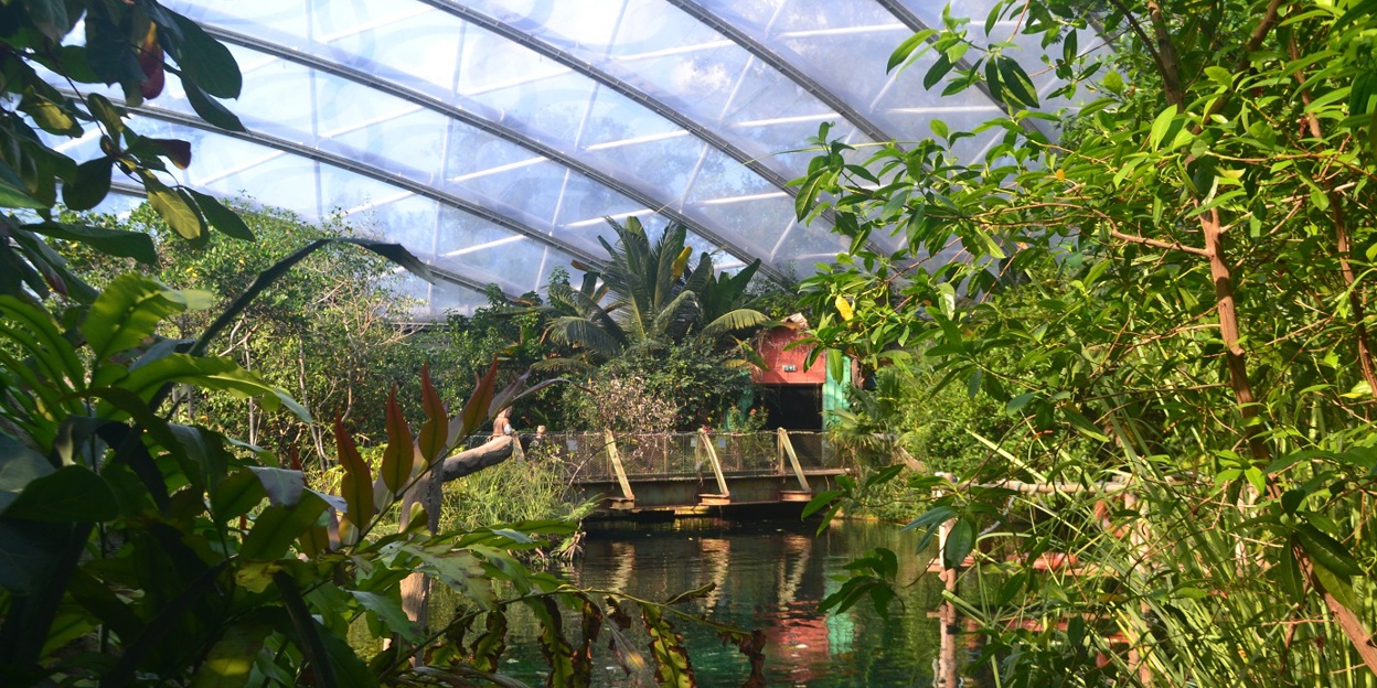 Was ist ein Ökodisplay? Burgers’ Mangrove