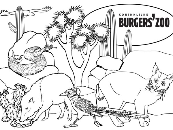 1c65040f-a958-4a3e-9d75-24014fee1434