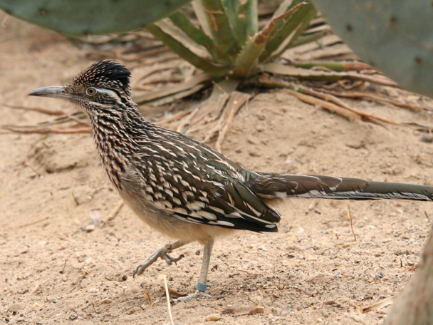 Besonderes Verhalten