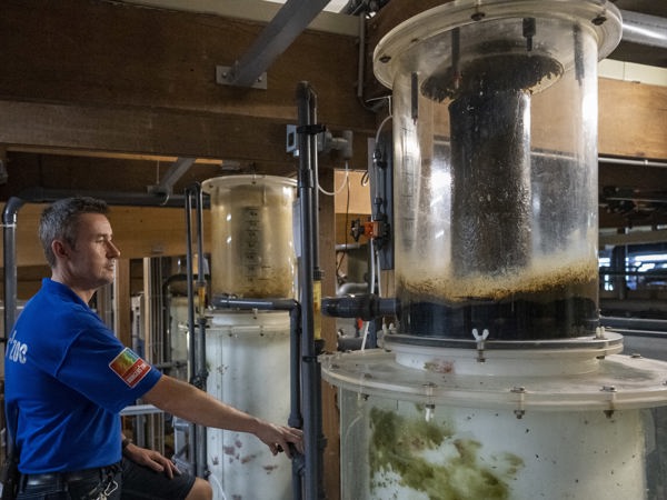 b170e536-2924-44b4-9be1-479fd7aeaa62