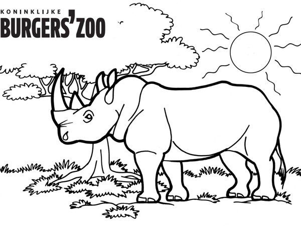 1553cd72-631b-4ac1-a19b-e1214ccac2b2