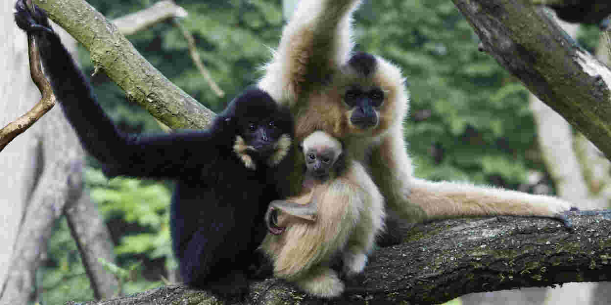 Wohngemeinschaft im Tierpark!