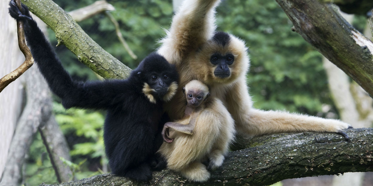 Wohngemeinschaft im Tierpark!