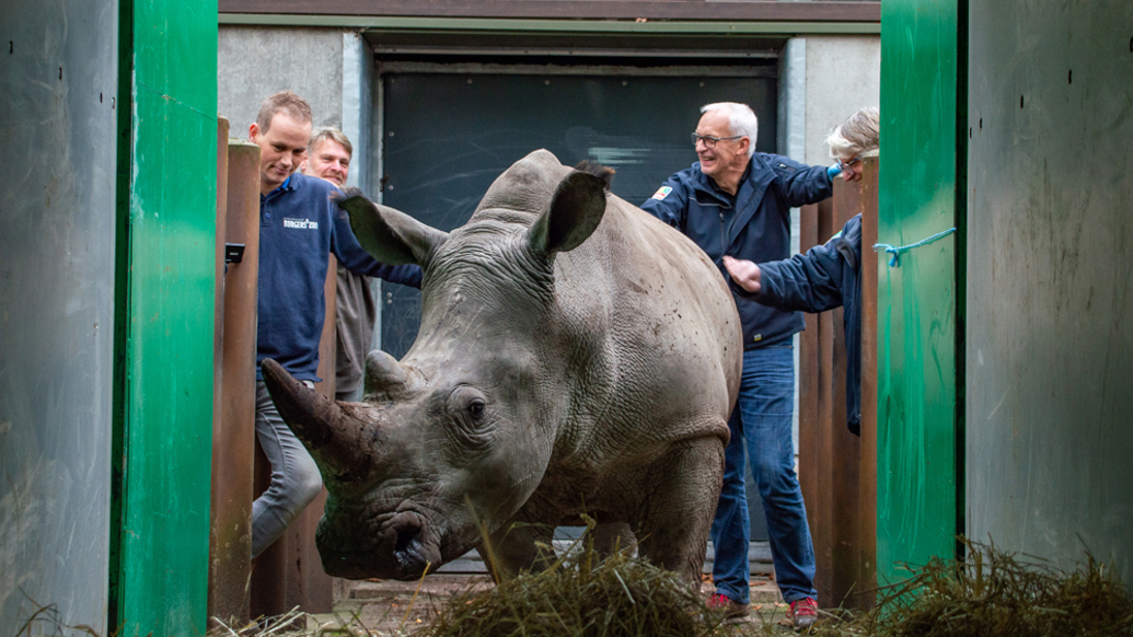 Naturschutz Die European Association of Zoos and Aquaria (EAZA) und